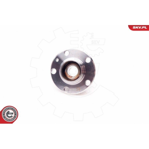 ESEN SKV Radlagersatz