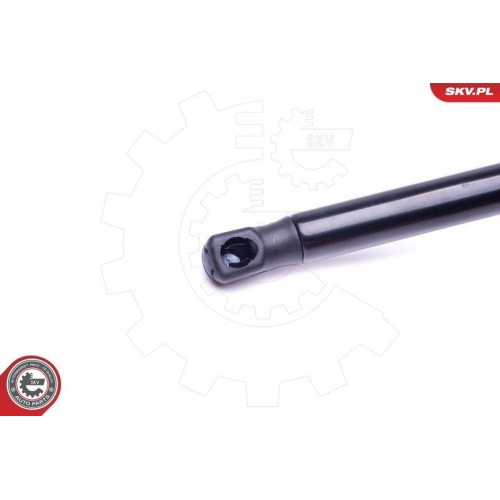 ESEN SKV Gasfeder, Koffer-/Laderaum