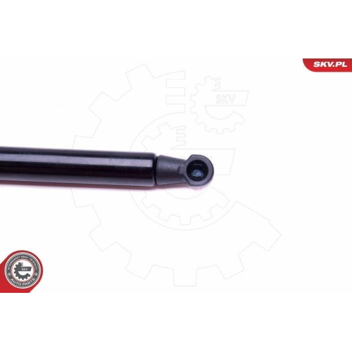 ESEN SKV Gasfeder, Koffer-/Laderaum