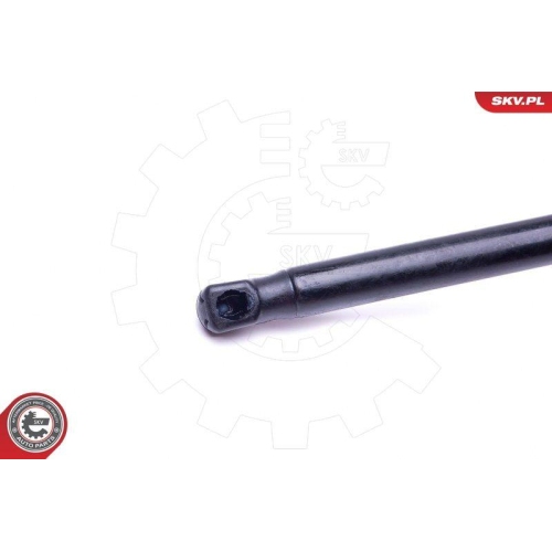 ESEN SKV Gasfeder, Koffer-/Laderaum