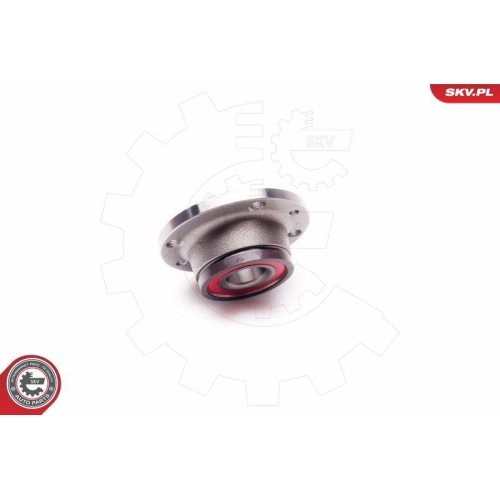 ESEN SKV Radlagersatz