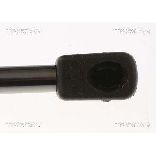 TRISCAN Gasfeder, Koffer-/Laderaum