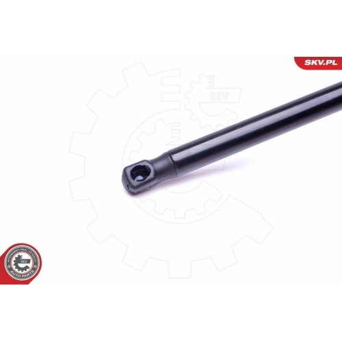 ESEN SKV Gasfeder, Koffer-/Laderaum