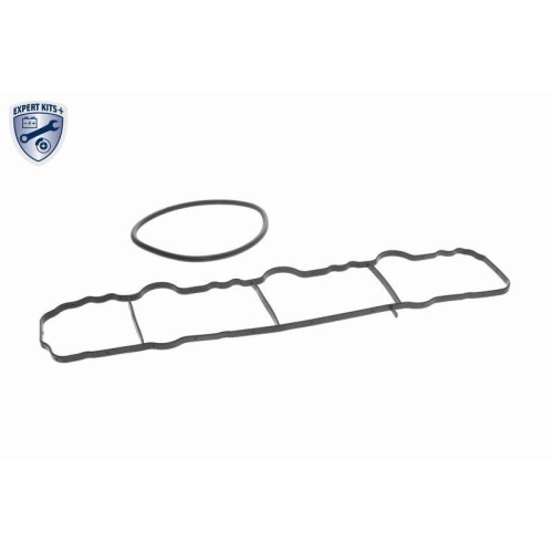 VAICO Saugrohrmodul EXPERT KITS +
