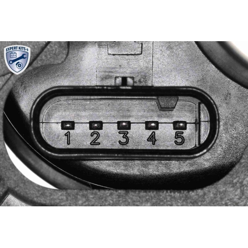 VAICO Saugrohrmodul EXPERT KITS +