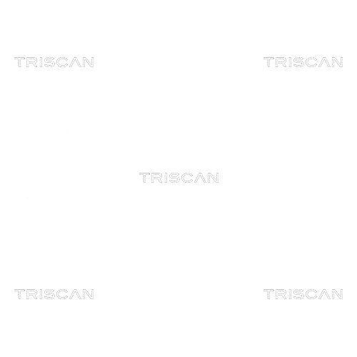 TRISCAN Radlagersatz