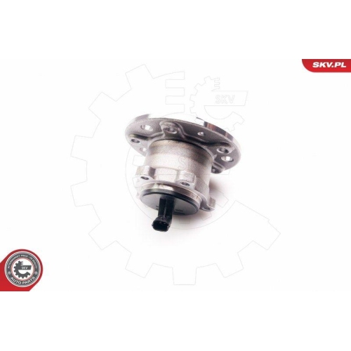 ESEN SKV Radlagersatz