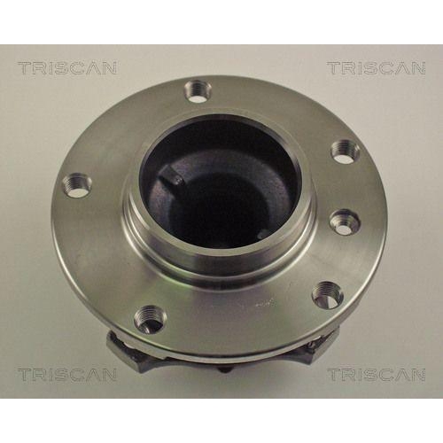 TRISCAN Radlagersatz
