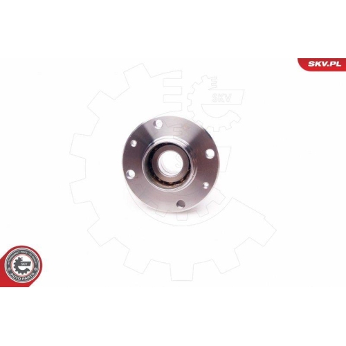 ESEN SKV Radlagersatz