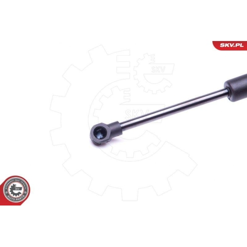 ESEN SKV Gasfeder, Koffer-/Laderaum