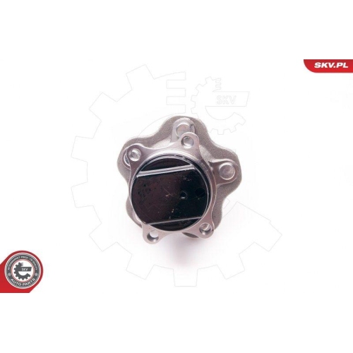 ESEN SKV Radlagersatz