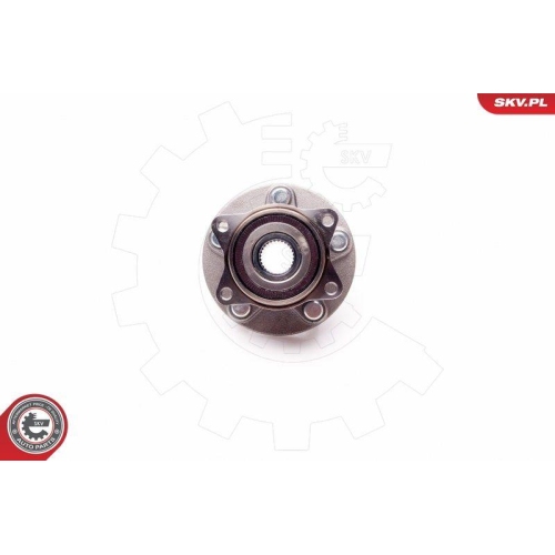 ESEN SKV Radlagersatz