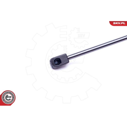 ESEN SKV Gasfeder, Koffer-/Laderaum