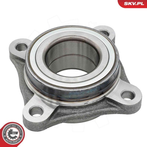 ESEN SKV Radlagersatz