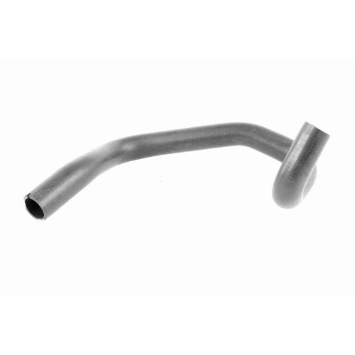 VAICO K&uuml;hlerschlauch Original VAICO Qualit&auml;t