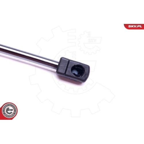 ESEN SKV Gasfeder, Koffer-/Laderaum