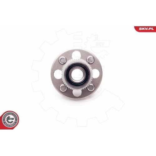 ESEN SKV Radlagersatz