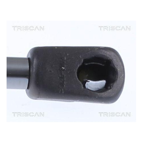 TRISCAN Gasfeder, Koffer-/Laderaum