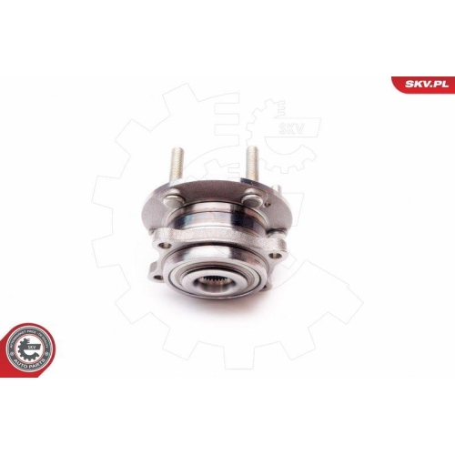 ESEN SKV Radlagersatz