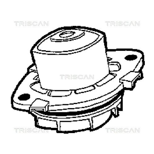 TRISCAN Wasserpumpe, Motorkühlung