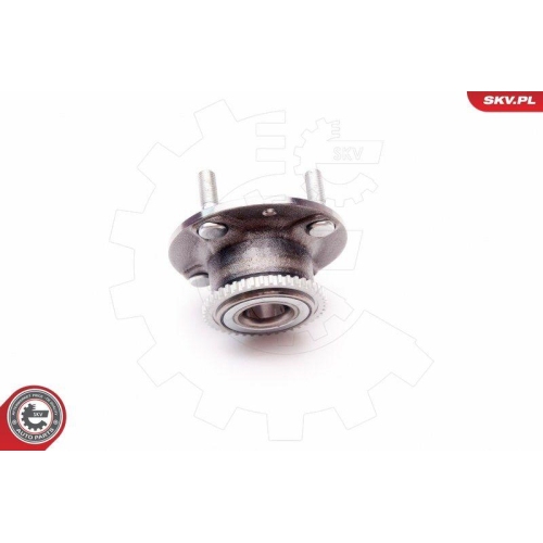 ESEN SKV Radlagersatz