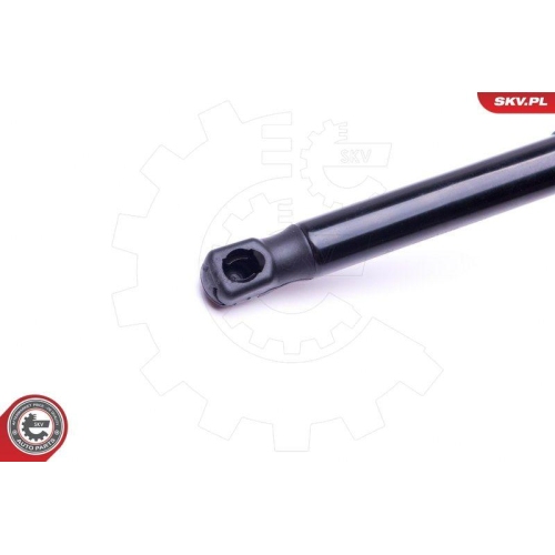 ESEN SKV Gasfeder, Koffer-/Laderaum