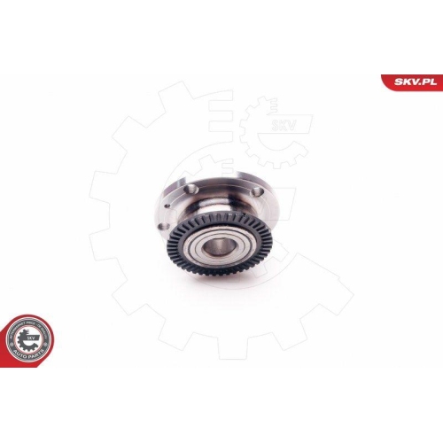 ESEN SKV Radlagersatz