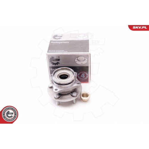 ESEN SKV Radlagersatz