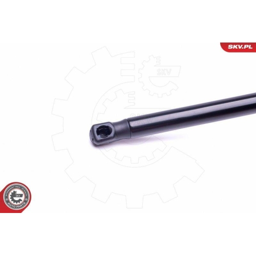 ESEN SKV Gasfeder, Koffer-/Laderaum