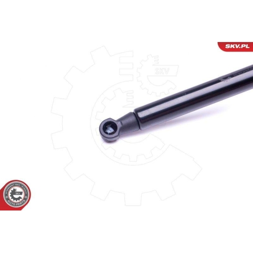 ESEN SKV Gasfeder, Koffer-/Laderaum