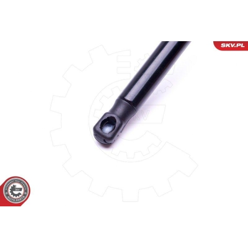 ESEN SKV Gasfeder, Koffer-/Laderaum