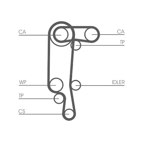 CONTINENTAL CTAM Zahnriemen