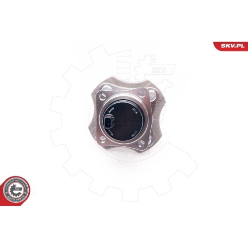 ESEN SKV Radlagersatz