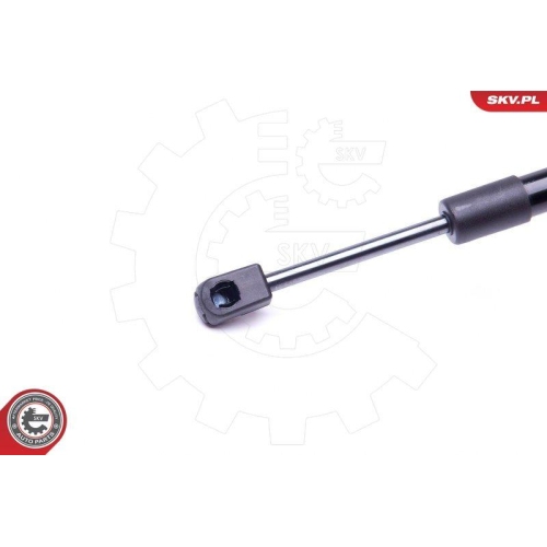 ESEN SKV Gasfeder, Koffer-/Laderaum