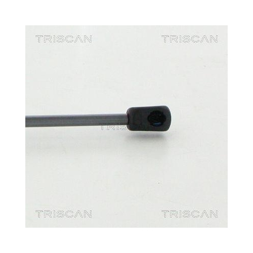 TRISCAN Gasfeder, Koffer-/Laderaum