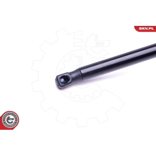 ESEN SKV Gasfeder, Koffer-/Laderaum