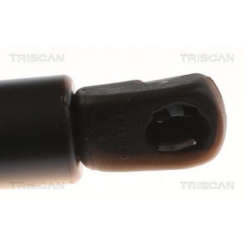 TRISCAN Gasfeder, Koffer-/Laderaum