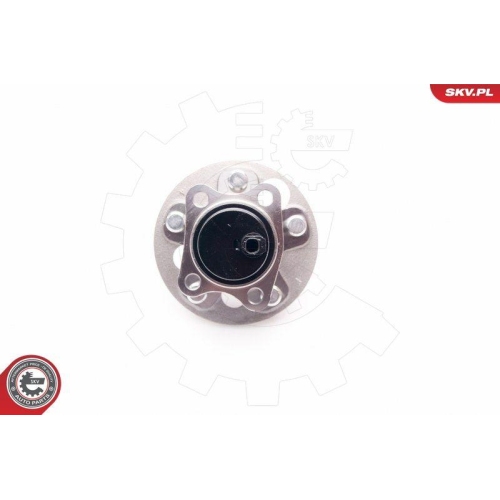 ESEN SKV Radlagersatz