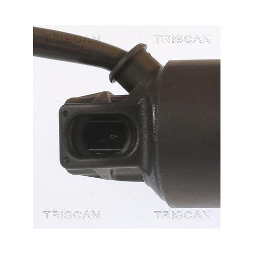 TRISCAN Gasfeder, Koffer-/Laderaum