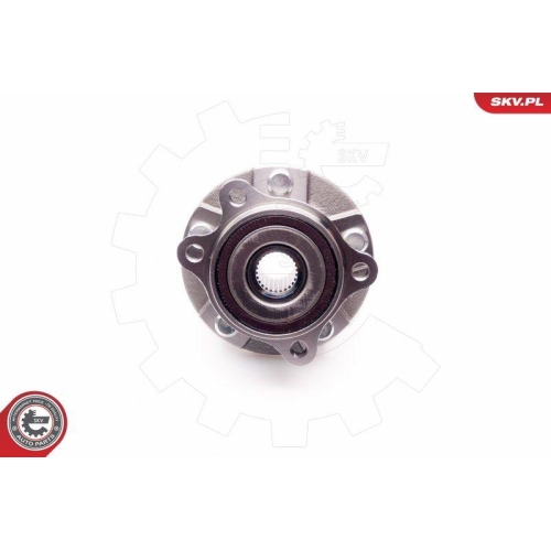 ESEN SKV Radlagersatz