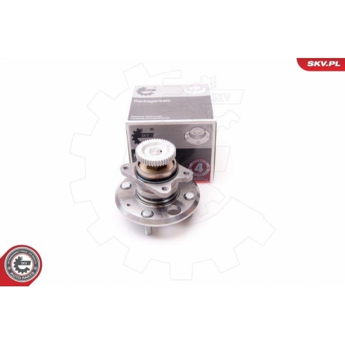 ESEN SKV Radlagersatz