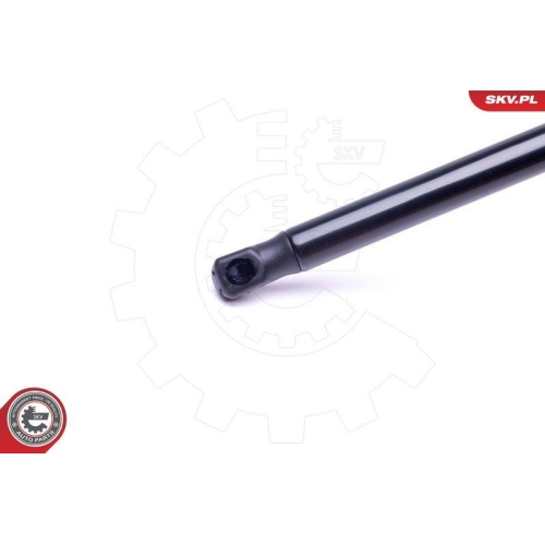 ESEN SKV Gasfeder, Koffer-/Laderaum