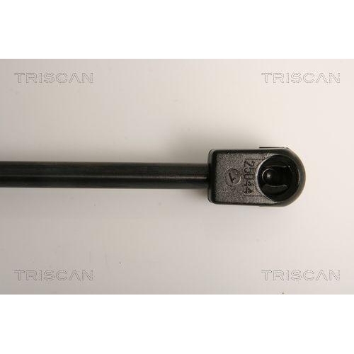 TRISCAN Gasfeder, Koffer-/Laderaum