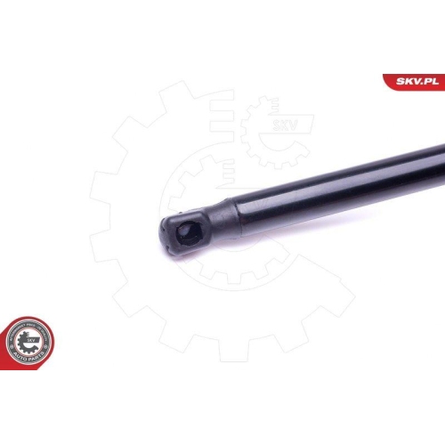 ESEN SKV Gasfeder, Koffer-/Laderaum