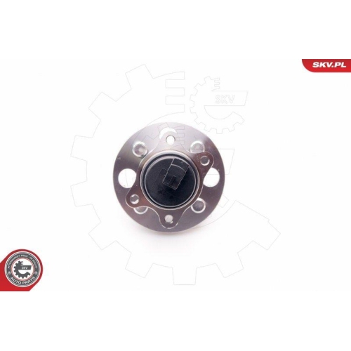 ESEN SKV Radlagersatz