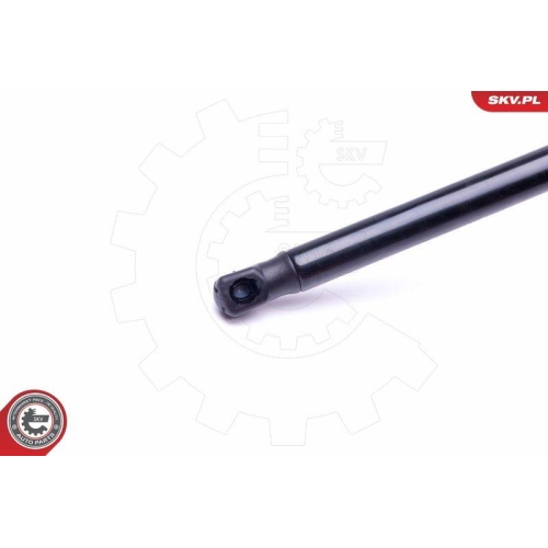 ESEN SKV Gasfeder, Koffer-/Laderaum