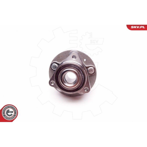 ESEN SKV Radlagersatz