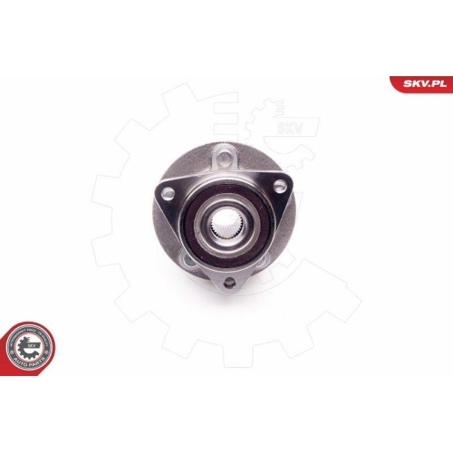 ESEN SKV Radlagersatz