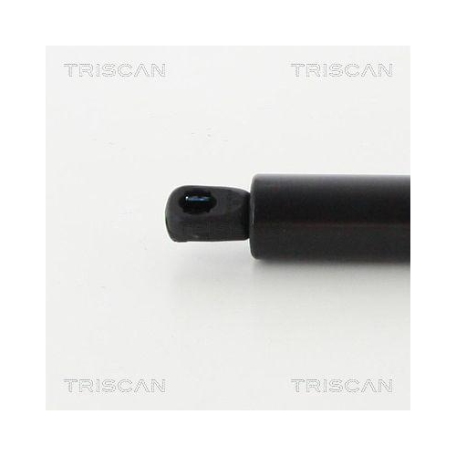 TRISCAN Gasfeder, Koffer-/Laderaum
