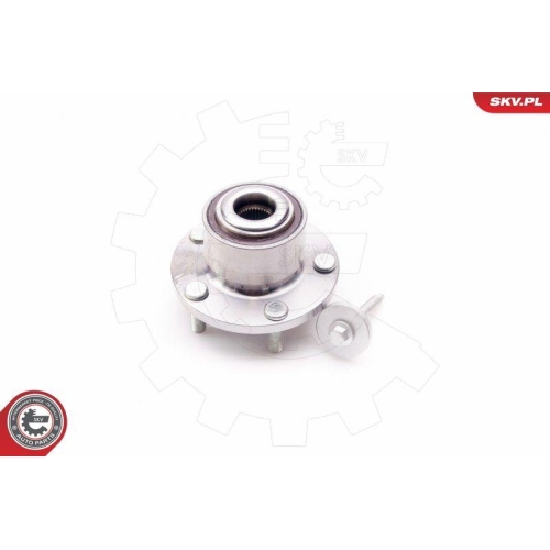 ESEN SKV Radlagersatz